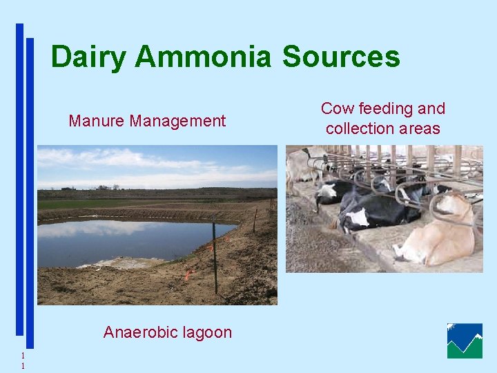 Dairy Ammonia Sources Manure Management Anaerobic lagoon 1 1 Cow feeding and collection areas