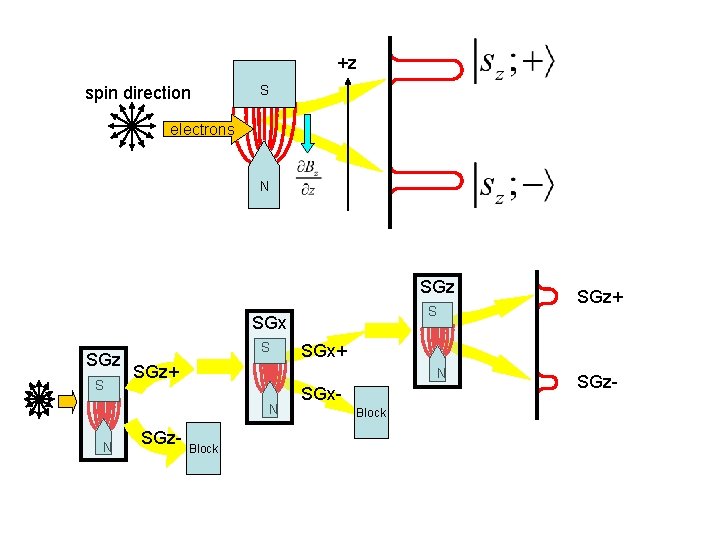 +z spin direction S electrons N SGz S SGx S SGz S N SGx+