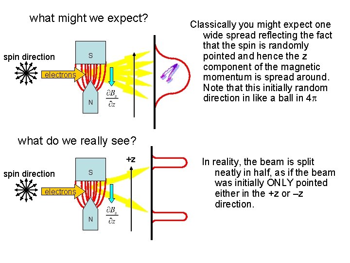 what might we expect? spin direction S electrons N Classically you might expect one