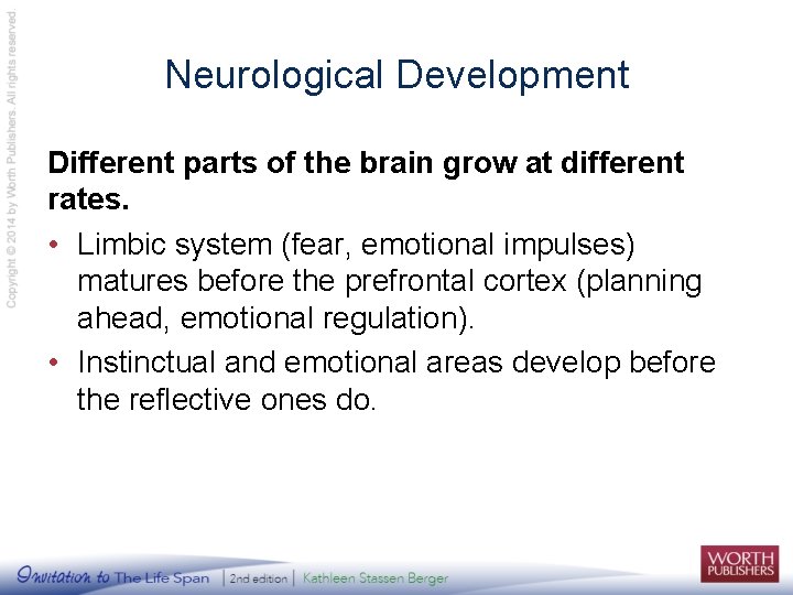 Neurological Development Different parts of the brain grow at different rates. • Limbic system