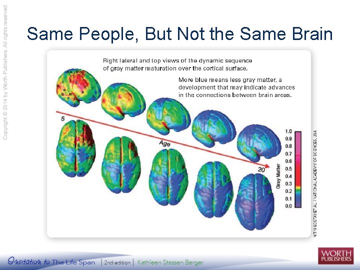 Same People, But Not the Same Brain 