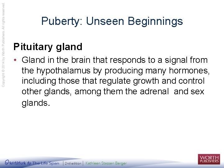 Puberty: Unseen Beginnings Pituitary gland • Gland in the brain that responds to a