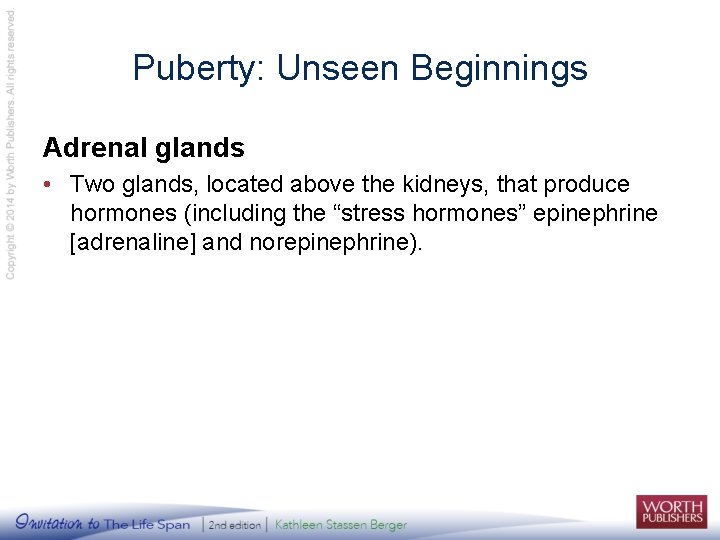 Puberty: Unseen Beginnings Adrenal glands • Two glands, located above the kidneys, that produce