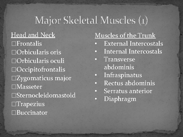Major Skeletal Muscles (1) Head and Neck �Frontalis �Orbicularis oris �Orbicularis oculi �Occipitofrontalis �Zygomaticus