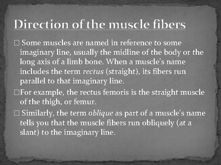 Direction of the muscle fibers � Some muscles are named in reference to some