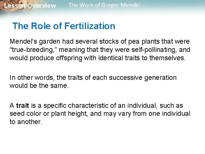 Lesson Overview The Work of Gregor Mendel The Role of Fertilization Mendel’s garden had