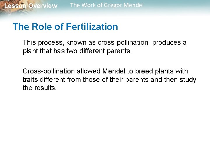 Lesson Overview The Work of Gregor Mendel The Role of Fertilization This process, known