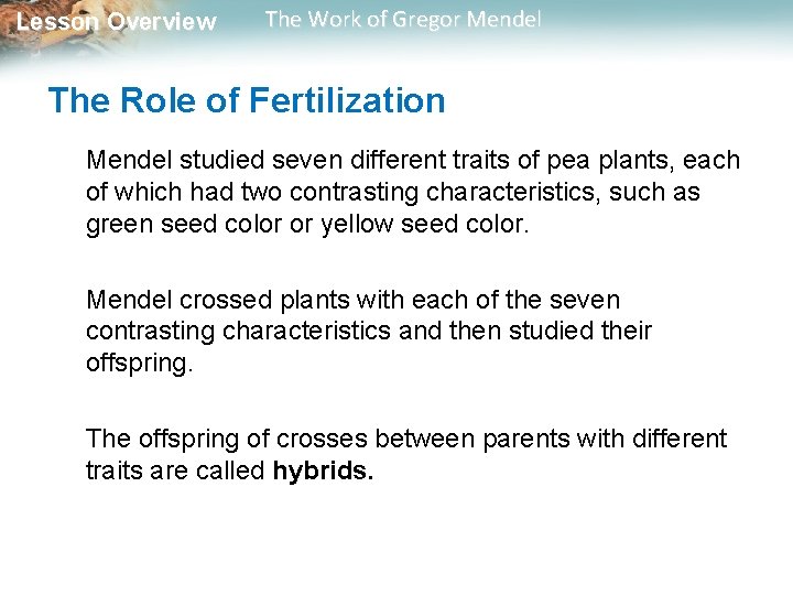 Lesson Overview The Work of Gregor Mendel The Role of Fertilization Mendel studied seven