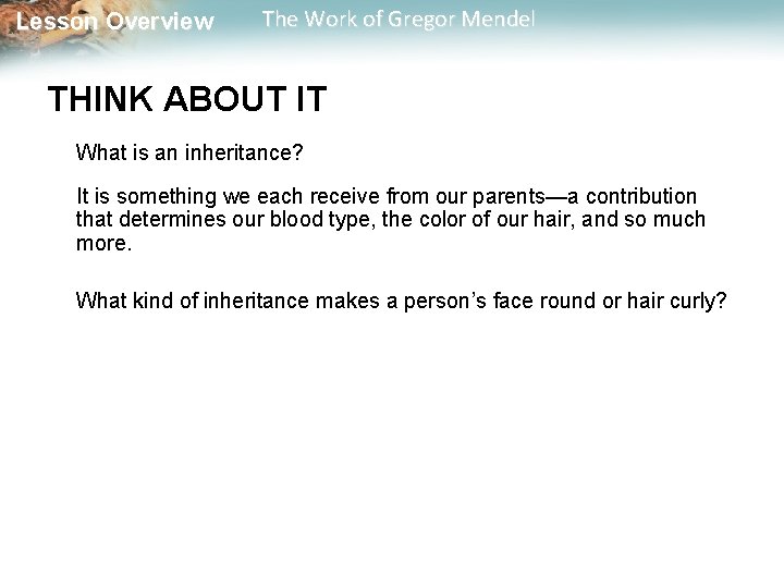 Lesson Overview The Work of Gregor Mendel THINK ABOUT IT What is an inheritance?