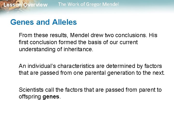 Lesson Overview The Work of Gregor Mendel Genes and Alleles From these results, Mendel