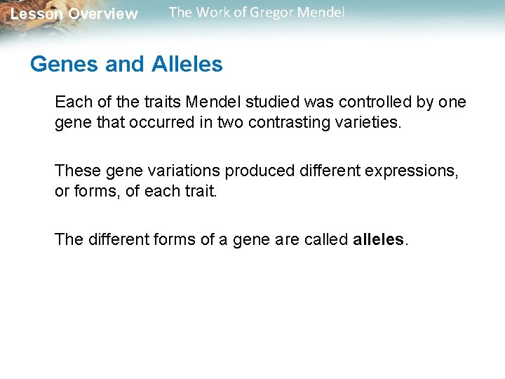 Lesson Overview The Work of Gregor Mendel Genes and Alleles Each of the traits