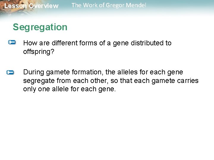 Lesson Overview The Work of Gregor Mendel Segregation How are different forms of a