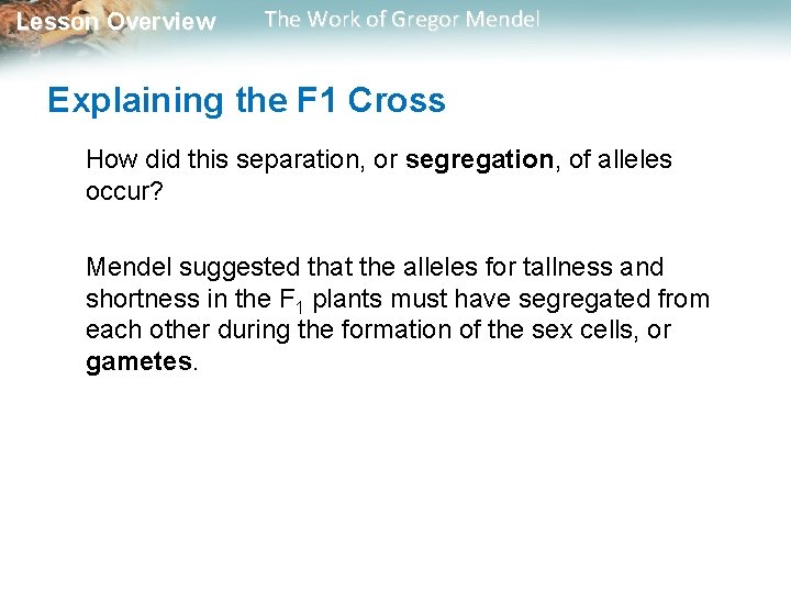 Lesson Overview The Work of Gregor Mendel Explaining the F 1 Cross How did