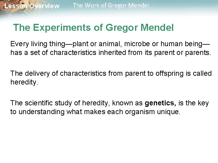 Lesson Overview The Work of Gregor Mendel The Experiments of Gregor Mendel Every living