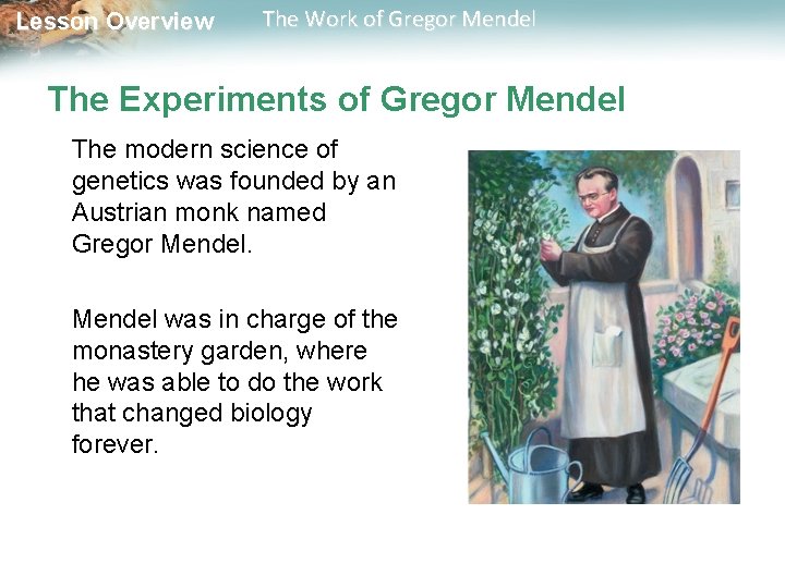Lesson Overview The Work of Gregor Mendel The Experiments of Gregor Mendel The modern