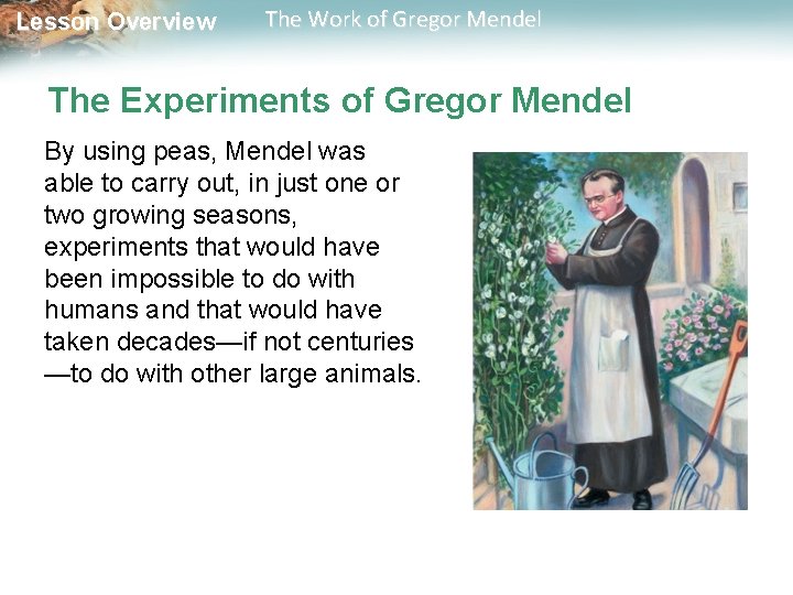 Lesson Overview The Work of Gregor Mendel The Experiments of Gregor Mendel By using