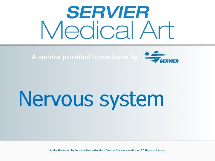 A service provided to medicine by Nervous system Servier Medical Art by Servier is