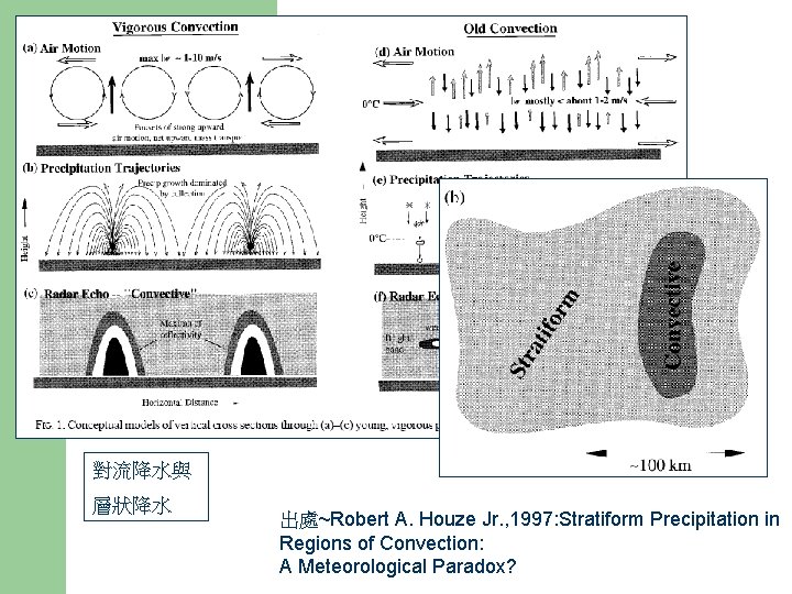 對流降水與 層狀降水 出處~Robert A. Houze Jr. , 1997: Stratiform Precipitation in Regions of Convection: