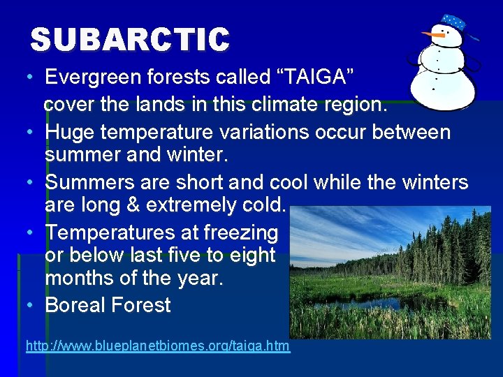 SUBARCTIC • Evergreen forests called “TAIGA” cover the lands in this climate region. •