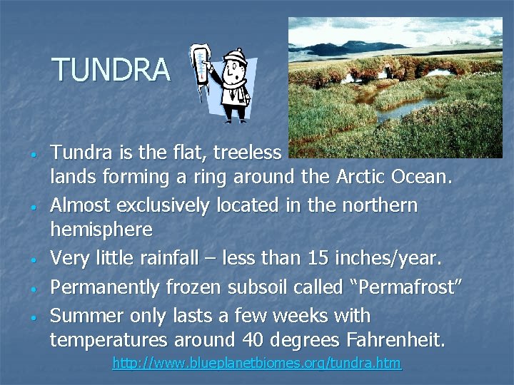 TUNDRA • • • Tundra is the flat, treeless lands forming a ring around
