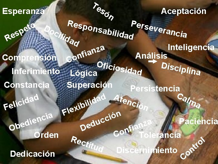 Esperanza Te só n Aceptación Resp Perse o t o D veran n e Esperanza Te só n Aceptación Resp Perse o t o D veran n e