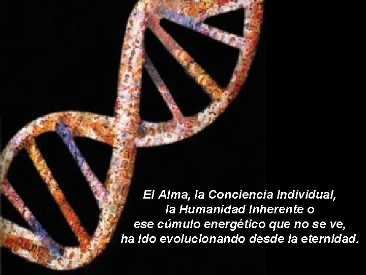 El Alma, la Conciencia Individual, la Humanidad Inherente o ese cúmulo energético que no El Alma, la Conciencia Individual, la Humanidad Inherente o ese cúmulo energético que no