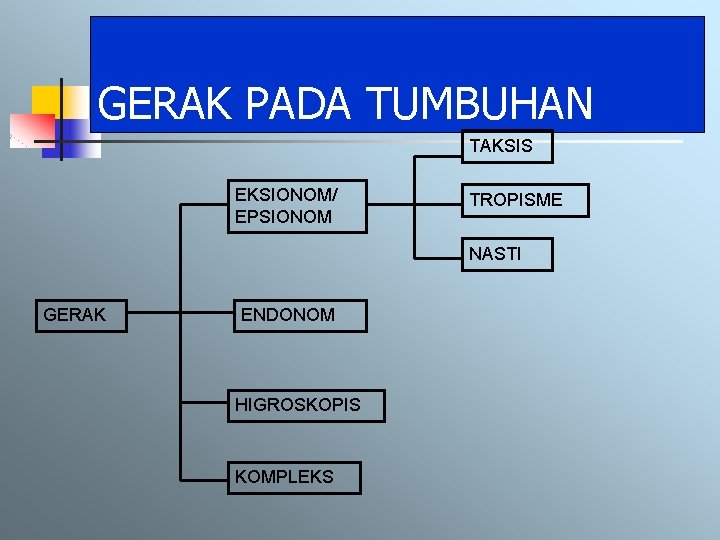 GERAK PADA TUMBUHAN TAKSIS EKSIONOM/ EPSIONOM TROPISME NASTI GERAK ENDONOM HIGROSKOPIS KOMPLEKS 