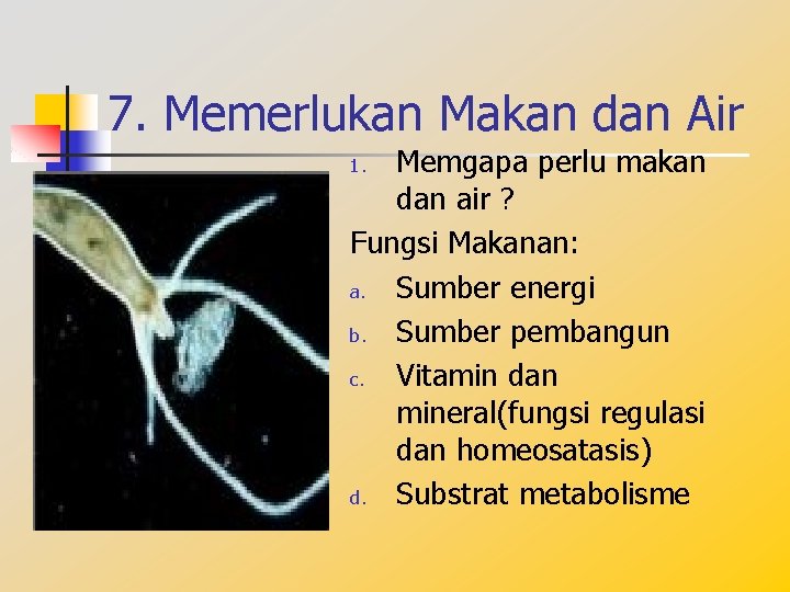 7. Memerlukan Makan dan Air Memgapa perlu makan dan air ? Fungsi Makanan: a.