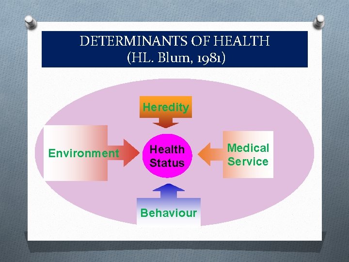 DETERMINANTS OF HEALTH (HL. Blum, 1981) Heredity Environment Health Status Behaviour Medical Service 