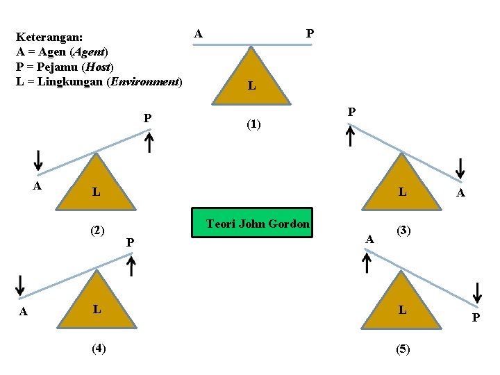 A Keterangan: A = Agen (Agent) P = Pejamu (Host) L = Lingkungan (Environment)