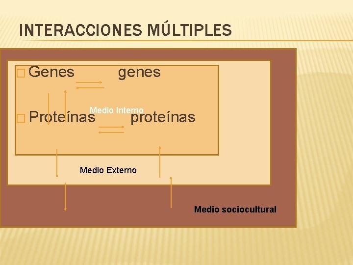 INTERACCIONES MÚLTIPLES � Genes genes Medio Interno M � Proteínas proteínas Medio Externo Medio