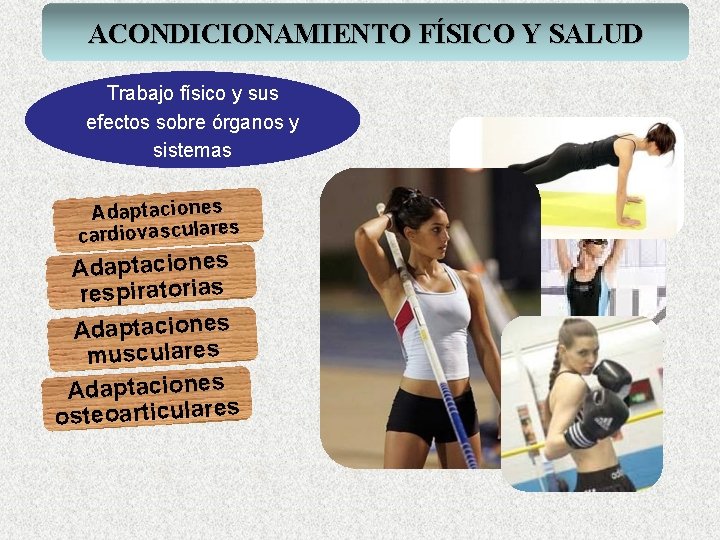 ACONDICIONAMIENTO FÍSICO Y SALUD Trabajo físico y sus efectos sobre órganos y sistemas Adaptaciones