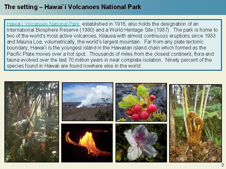 The setting – Hawai`i Volcanoes National Park Hawai’i Volcanoes National Park, established in 1916,