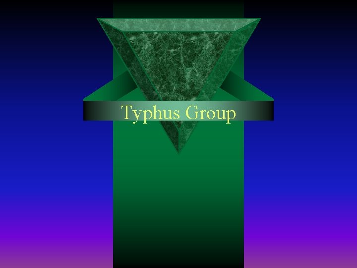 Typhus Group 