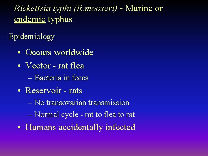 Rickettsia typhi (R. mooseri) - Murine or endemic typhus Epidemiology • Occurs worldwide •