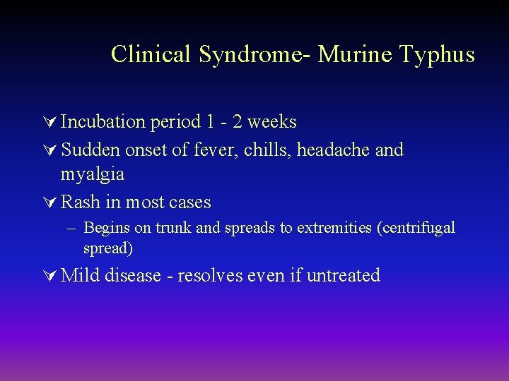 Clinical Syndrome- Murine Typhus Ú Incubation period 1 - 2 weeks Ú Sudden onset