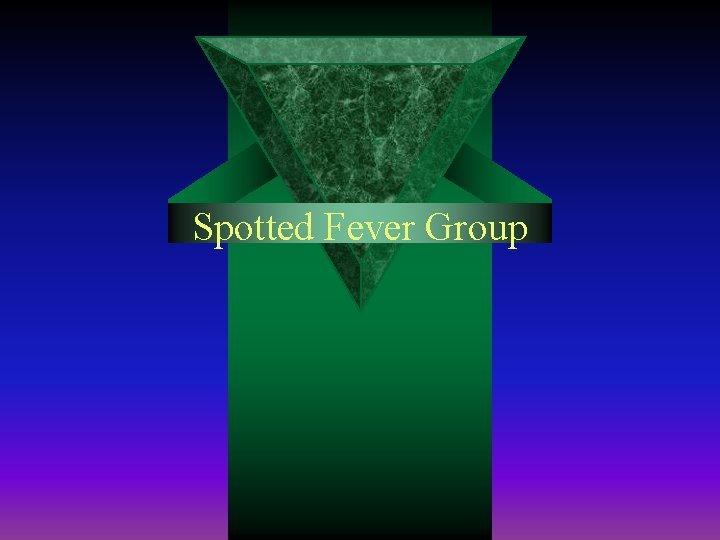 Spotted Fever Group 