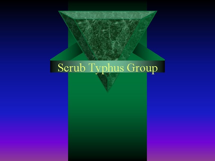 Scrub Typhus Group 