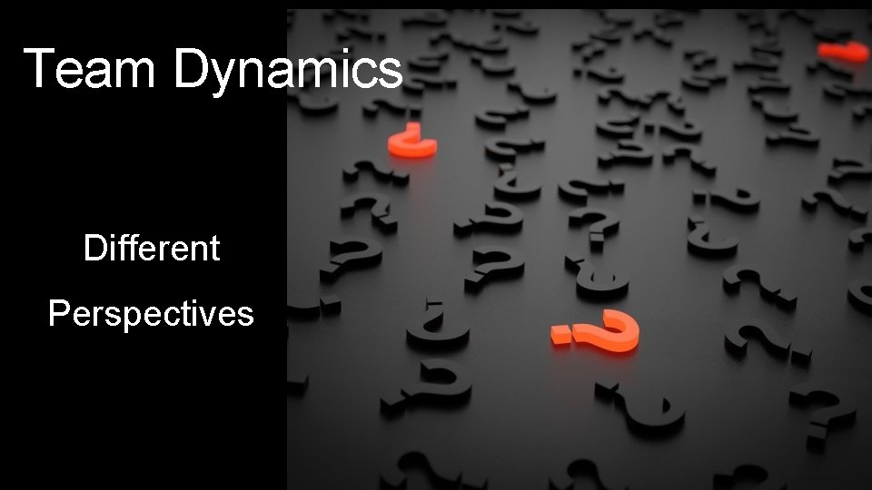 Team Dynamics Different Perspectives 