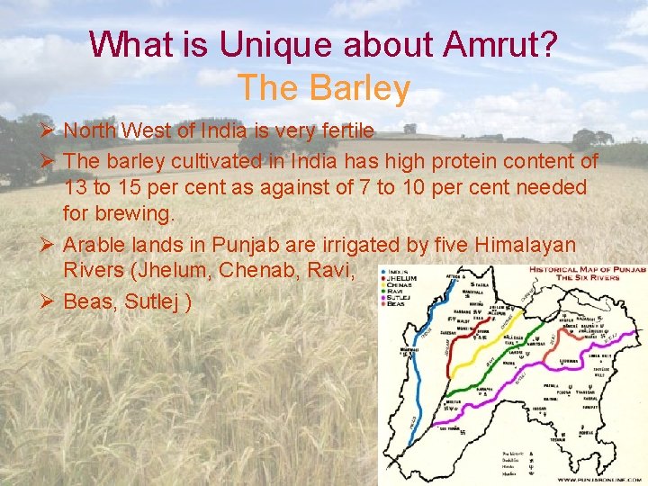 What is Unique about Amrut? The Barley Ø North West of India is very