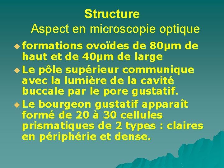 Structure Aspect en microscopie optique u formations ovoïdes de 80µm de haut et de