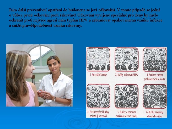 Jako další preventivní opatření do budoucna se jeví očkování. V tomto případě se jedná