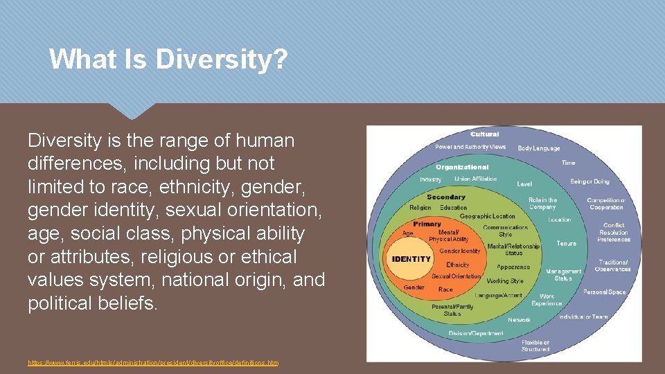 What Is Diversity? Diversity is the range of human differences, including but not limited