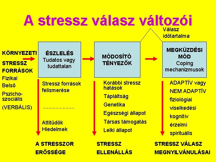 A stressz válasz változói Válasz időtartalma KÖRNYEZETI STRESSZ FORRÁSOK Fizikai Belső Pszichoszociális ÉSZLELÉS Tudatos