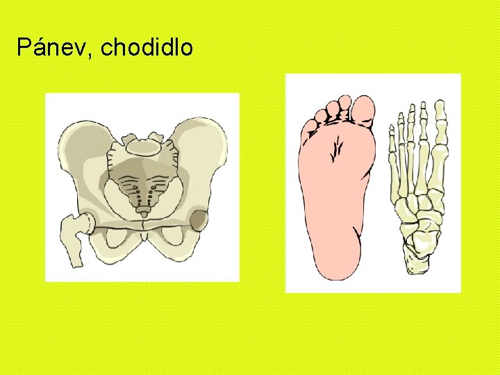 Pánev, chodidlo 