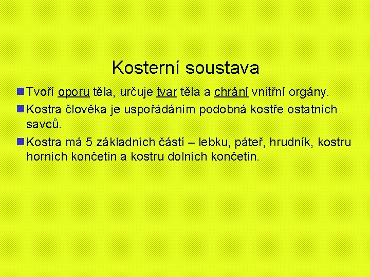 Kosterní soustava n Tvoří oporu těla, určuje tvar těla a chrání vnitřní orgány. n