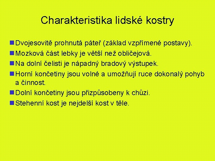 Charakteristika lidské kostry n Dvojesovitě prohnutá páteř (základ vzpřímené postavy). n Mozková část lebky