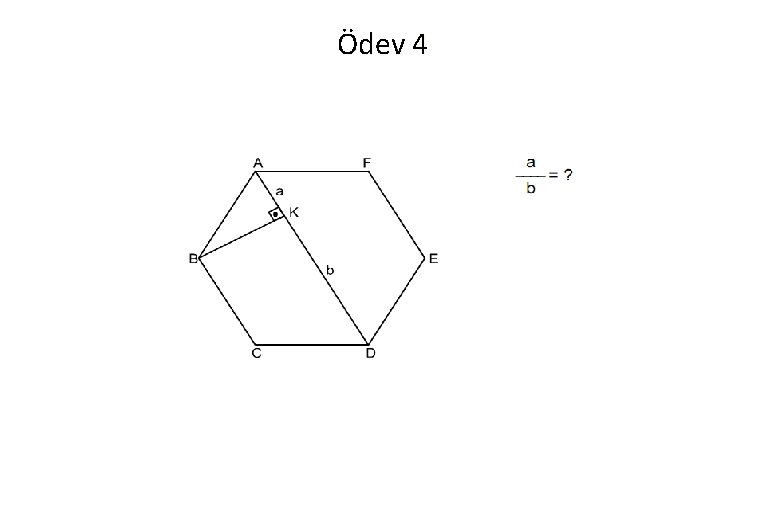 Ödev 4 