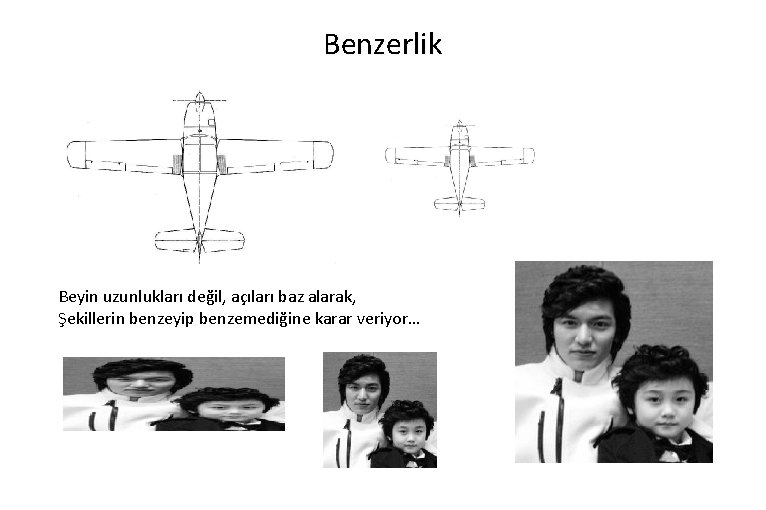 Benzerlik Beyin uzunlukları değil, açıları baz alarak, Şekillerin benzeyip benzemediğine karar veriyor… 