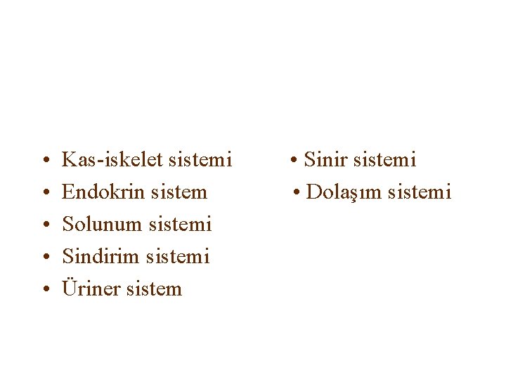  • • • Kas-iskelet sistemi Endokrin sistem Solunum sistemi Sindirim sistemi Üriner sistem